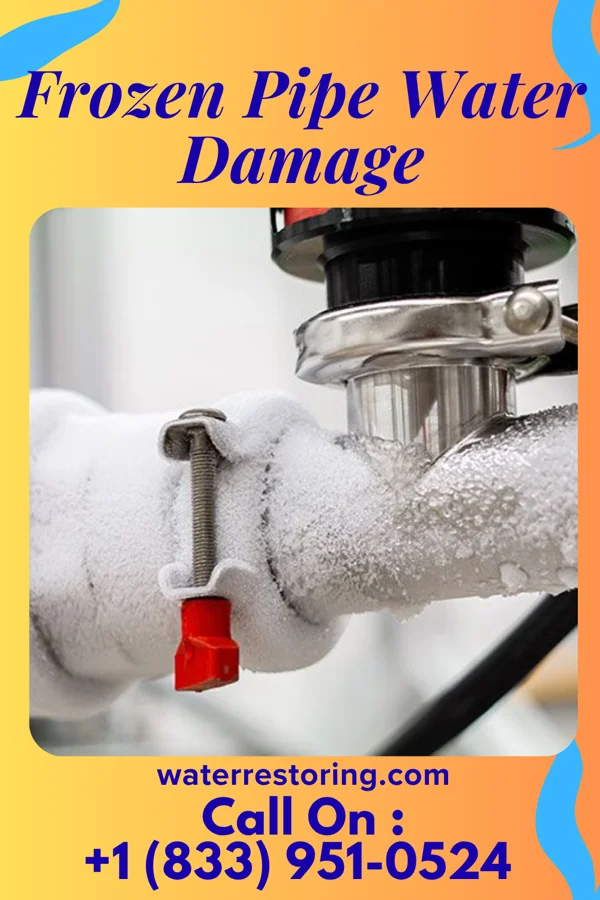 Frozen Pipe Water Damage in Ocoee, FL