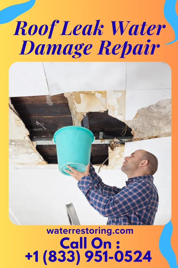 Roof Leak Water Damage Repair in Ocoee, FL