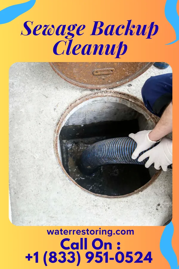 Sewage Backup Cleanup in Ocoee, FL